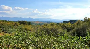 Chalet Santa Teresa - Ponferrada (El Bierzo, León) - Image 2