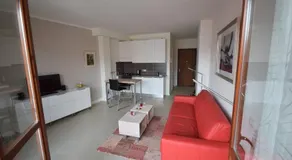 Ulivo8 - Image 2