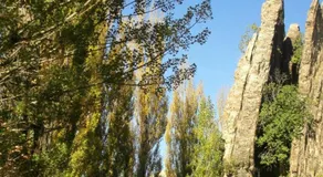 Apartamento Alcala de la selva - Image 4