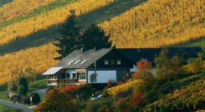 Weingut & Gastehaus Sonnenhof - Image 2