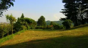 TaiObe - Happy Party House - Image 2