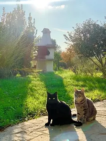 Giardino Di Olga - Image 4