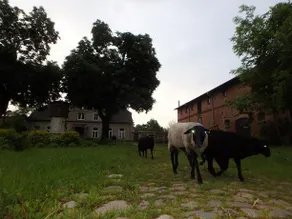 Lehmbau Im Kastanienhof - Image 2