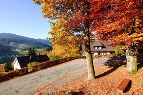 Cafe Pension Waldfrieden - Image 4