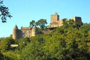 La Chambre des Buissonnats - Image 5