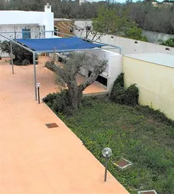Microborgopasca - Image 3