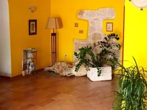 Villa Hotel Barbat - Image 3