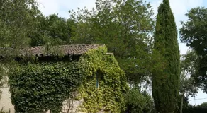 Domaine Le Moulin Neuf - Image 4