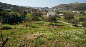 Villa Valentino - Image 5
