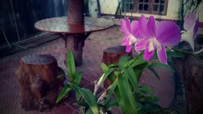 Sampathaa Residence - Image 2