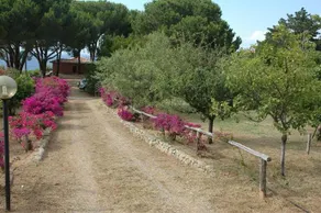 La Casa di Eva - Image 5