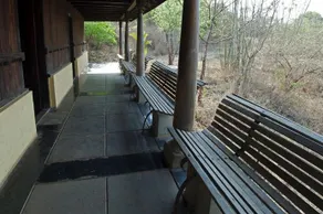 Paradise Country - Image 2