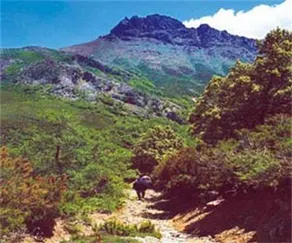 Deangelo - Image 5