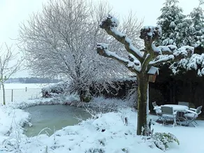 Achter - Image 4