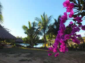 Hotel Las Brisas de Mayto - Image 3