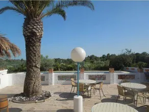 The Sea Garden Hotel & Resort - Image 3