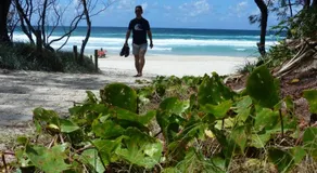 SaltBeach2302 - Image 5