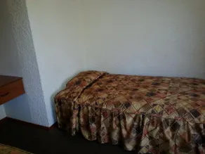 Tronco de Oro - Hospedaje en Yanahuara - Image 5