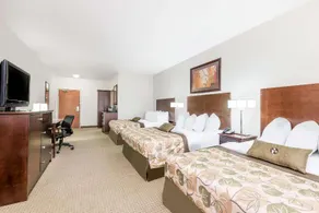 Ramada by Wyndham Olds - Image 5