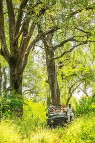 CHISOMO SAFARI LODGE - Image 5
