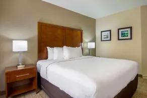Comfort Inn Acworth - Image 5
