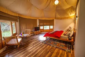 Wooden Nest - Image 5