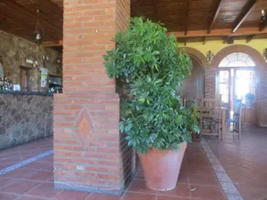 Hostal Restaurante Campo Abierto - Image 5