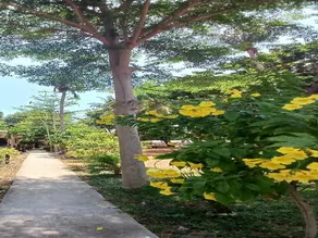 Baan Long Beach - Image 5