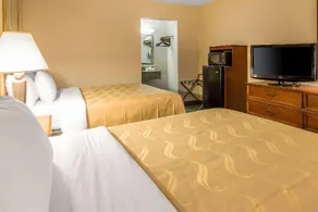 Quality Inn & Suites McDonough South I-75 - Image 3