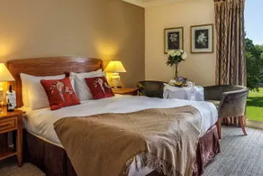 Wyatt - Image 5