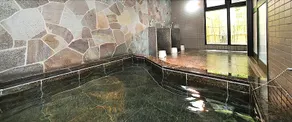 Atsuta-no-Mori Hotel Shinsuien - Image 5
