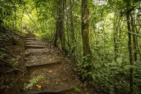 La Tigra Rainforest Lodge - Image 4