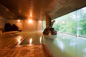 Plaza Hotel Sanrokuso - Image 3