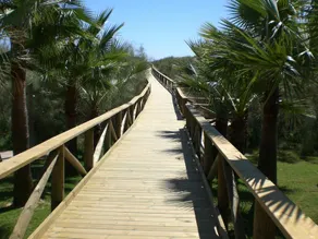 Apartamentos Aires de Isla Canela - Image 3