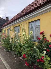 Backadal Gard B&B - Image 3