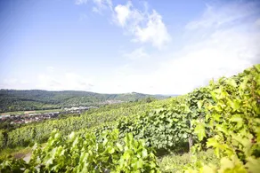 Lamm Hebsack - Image 3