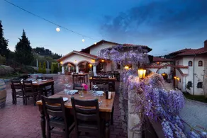 Vinifera Vineyards Hotel - Image 3