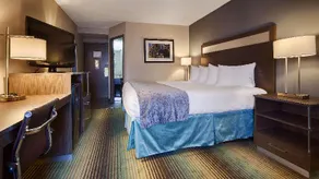 Best Western O'Hare/Elk Grove Hotel - Image 2