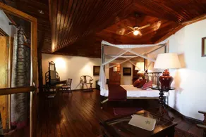 Chauve Souris Relais - Image 3
