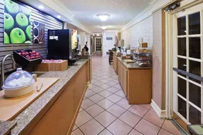 La Quinta Inn by Wyndham Amarillo West Medical Center - Image 2