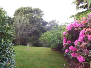 Donalea Bed & Breakfast Castle Forbes Bay - Image 3