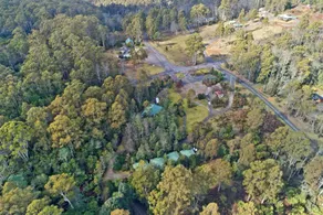 Cradle Forest Inn - Image 4