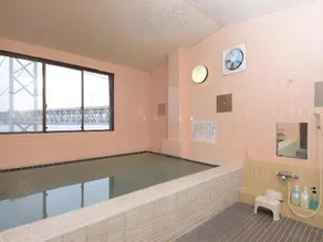 Ryokan Koen Mizuno - Image 3