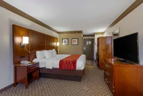 Comfort Inn - Image 4