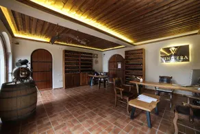 Vinifera Vineyards Hotel - Image 5