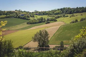Cascina Spinerola - Image 4