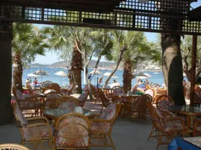 Sami Plaza - Image 4