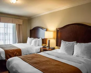 Comfort Suites - Image 5