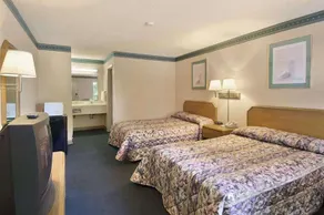 Palmetto Inn & Suites - Image 4