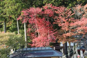 Atarashiya Ryokan - Image 5